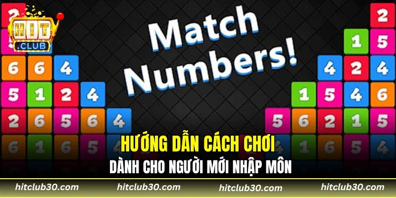 Hướng dẫn cách chơi dành cho người mới nhập môn