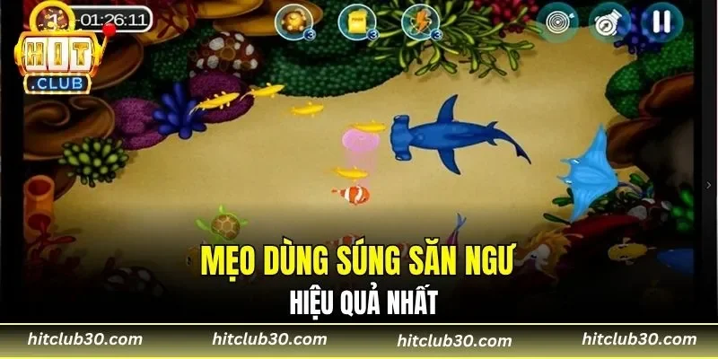 Mẹo dùng súng săn ngư hiệu quả nhất